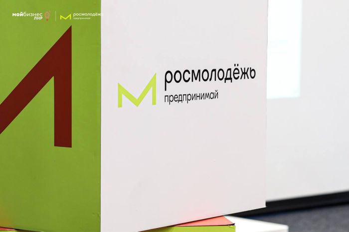 В ЛНР успешно представили Сообщество «Росмолодёжь.Предпринимай»